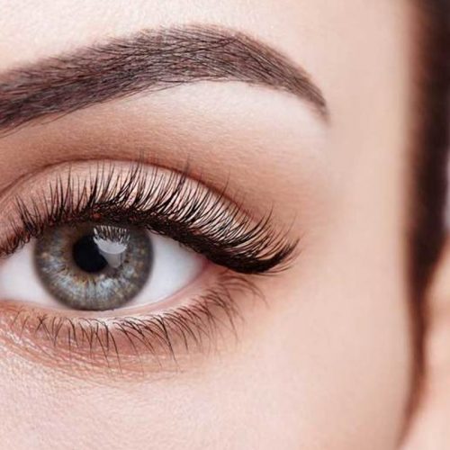 eyelash-transplantation-price eyelash-transplantation-price